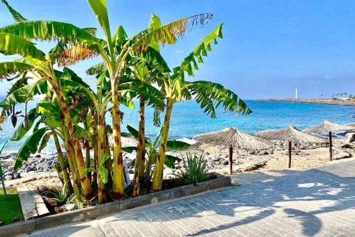 Casa Atilana Apartamento A 150 Metros De La Playa Πλάγια Μπλάνκα Εξωτερικό φωτογραφία